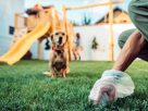 Pet Waste Management