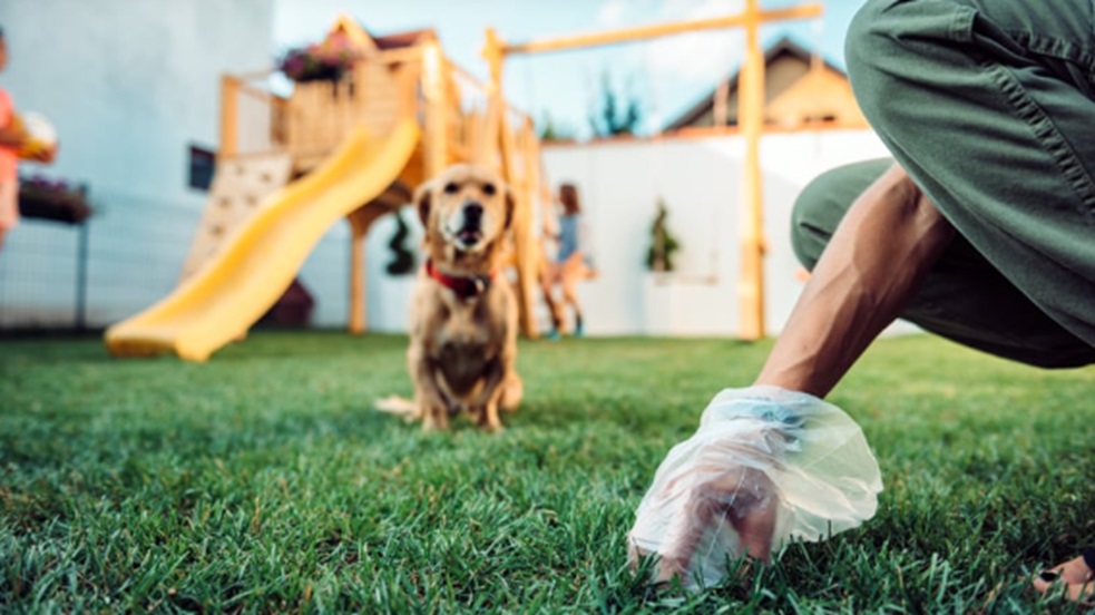 Pet Waste Management